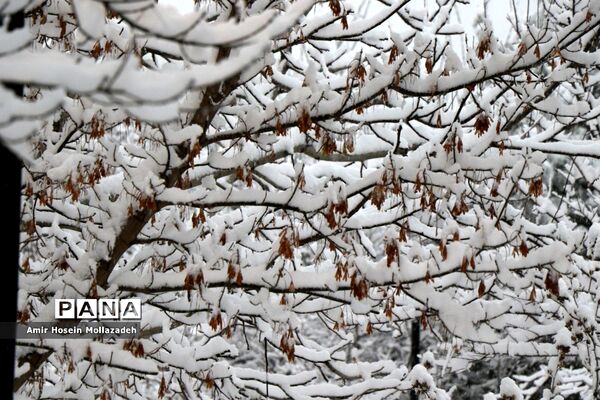 اولین برف زمستانی در ارومیه