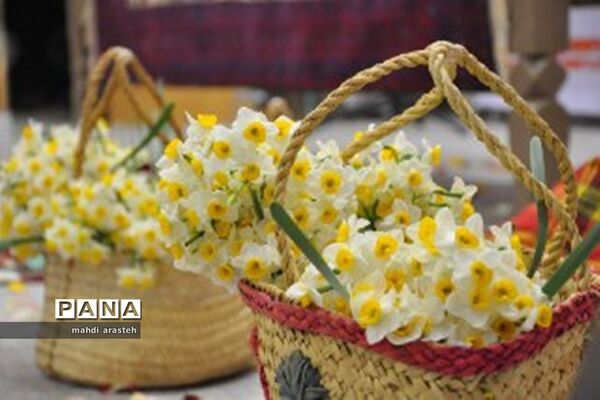 برگزاری جشنواره استانی گل نرگس در خوسف