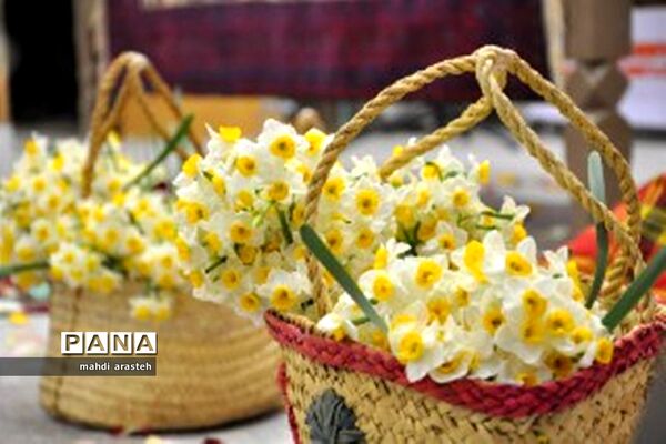 برگزاری جشنواره استانی گل نرگس در خوسف