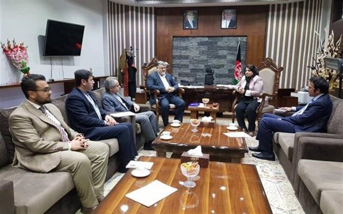 استاندار خراسان جنوبی خبر داد: رایزنی  در کشور افغانستان برای تثبیت و گسترش مرزهای رسمی با این کشور