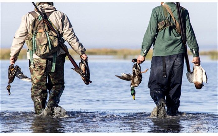 هیچ تخلف شکاری در تالاب مرزون آباد بابل صورت نگرفت