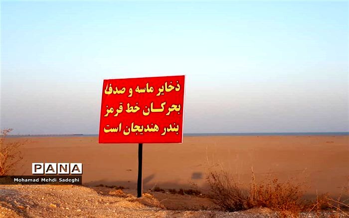 برداشت ماسه و صدف های بندر بحرکان هندیجان مجوز محیط زیستی ندارد