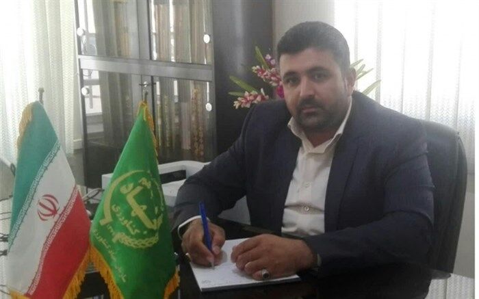 برداشت کلم از ۵۵ هکتار از مزارع کشاورزی شهرستان البرز