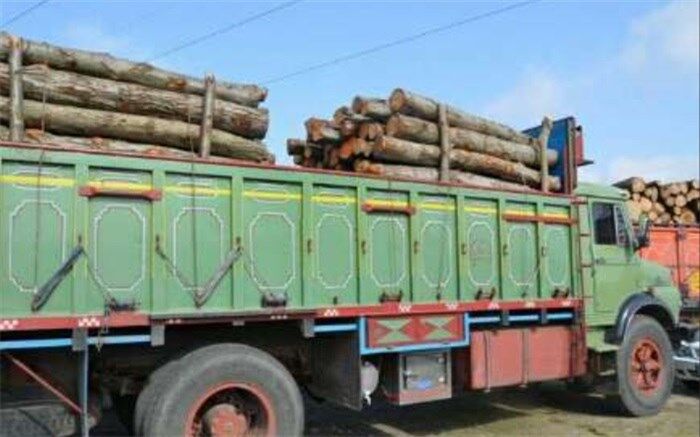 کشف 4 تُن چوب قاچاق در شهرستان مُهر