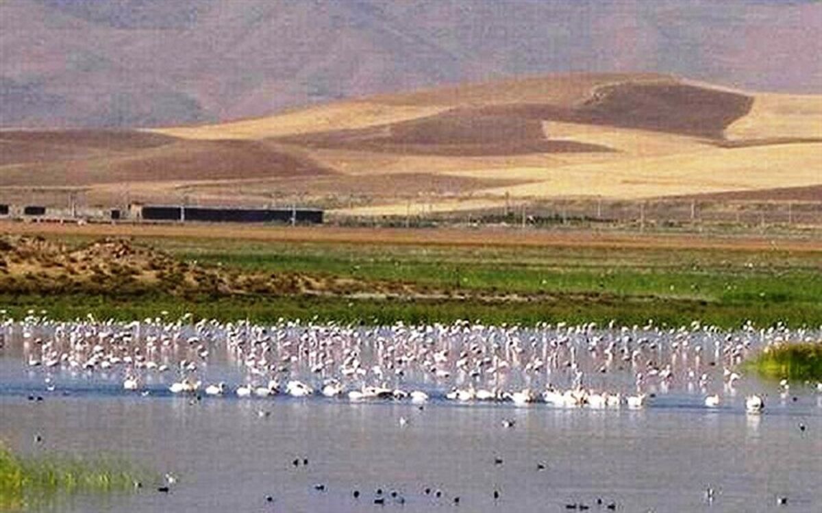 آبگیری تالاب 'درگه سنگی' نقده آغاز شد