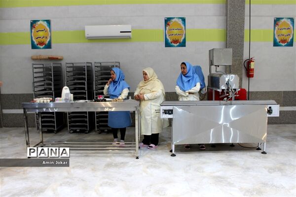 راه اندازی نخستین مجتمع غذایی تولید تغذیه سالم  ویژه دانش‌آموزان در لارستان