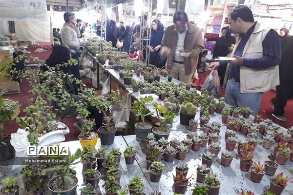برگزاری نمایشگاه اقوام و عشایر ایرانی در یزد