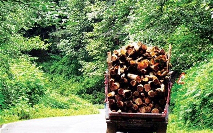 فرماندار ورزقان: سود زیاد، دلیل اصلی قطع و فروش درختان باغی منطقه ارسباران بود