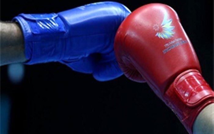 رئیس هیات ووشو خراسان جنوبی خبر داد: حضور تیم ووشوی خراسان جنوبی در رقابت های ساحلی کشور