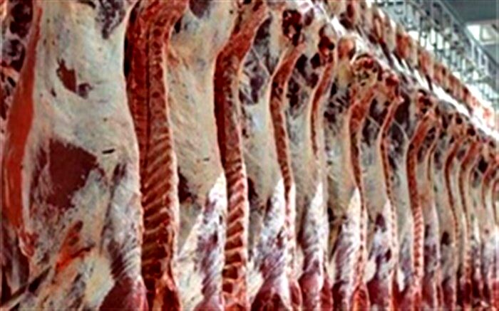 توزیع گسترده گوشت قرمز ۲۹ و ۴۰ هزار تومانی در روزهای آینده