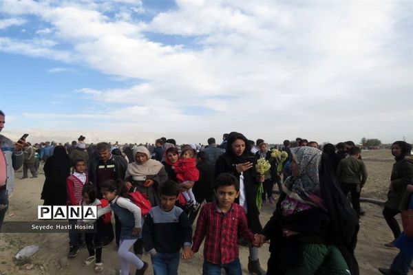 جشنواره گل نرگس در نوآباد  شهرستان مهر