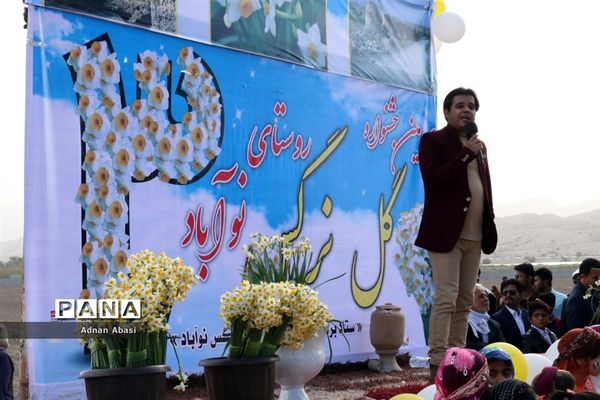 جشنواره گل نرگس در نوآباد  شهرستان مهر