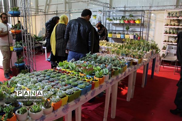 نمایشگاه گل‌و‌گیاه و تجهیزات باغبانی در شیراز