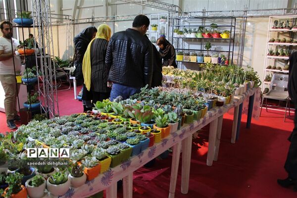 نمایشگاه گل‌و‌گیاه و تجهیزات باغبانی در شیراز