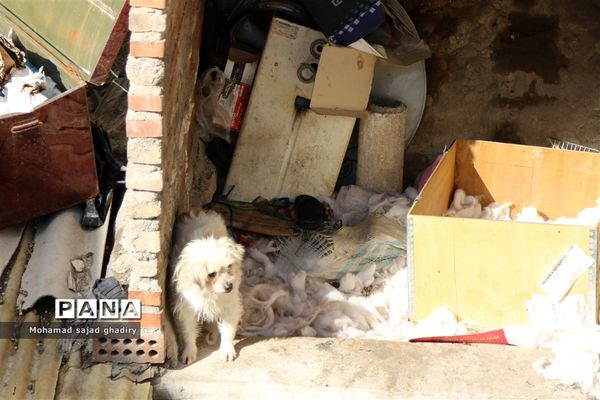 آغاز عملیات گسترده پلیس برای جمع‌آوری معتادان متجاهر و پاکسازی مناطق