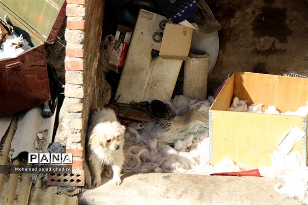 آغاز عملیات گسترده پلیس برای جمع‌آوری معتادان متجاهر و پاکسازی مناطق