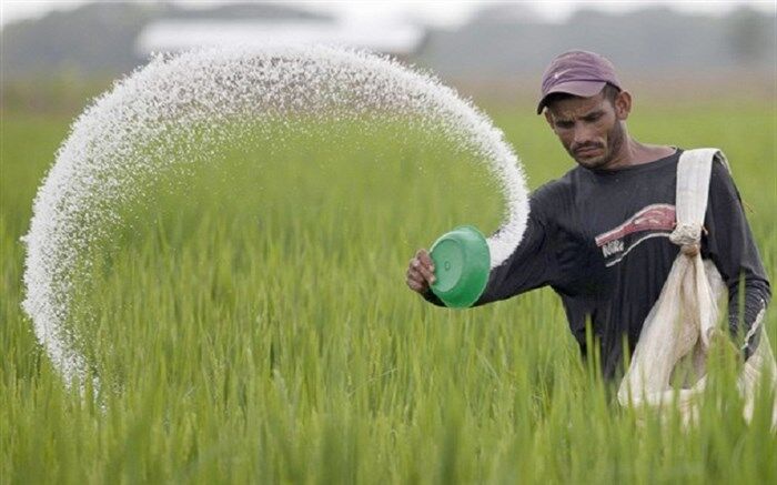 بیش از 1000 تن کود شیمیایی در شاهین دژ توزیع شد