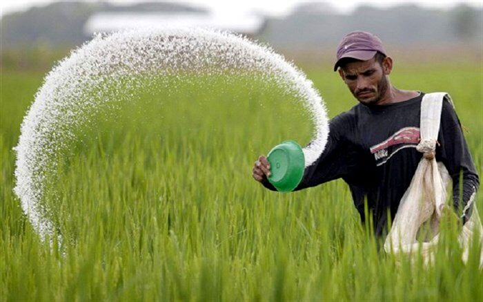 بیش از 1000 تن کود شیمیایی در شاهین دژ توزیع شد