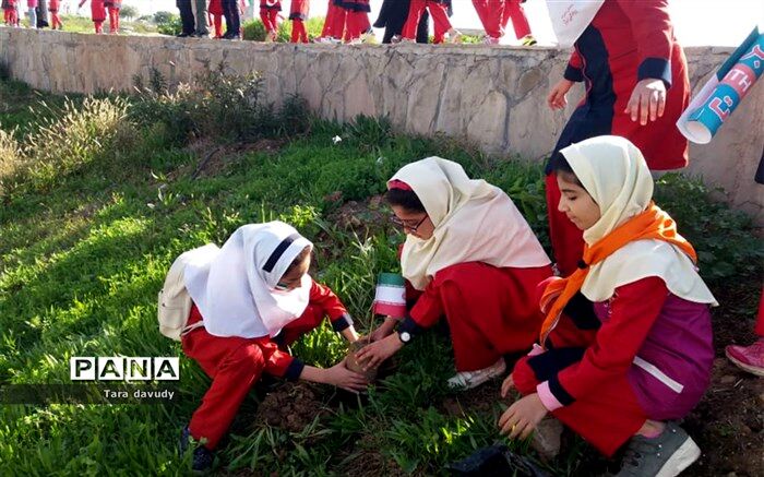 کاشت نهال بمناسبت سالروز ورود امام توسط همیاران محیط زیست مسجدسلیمان