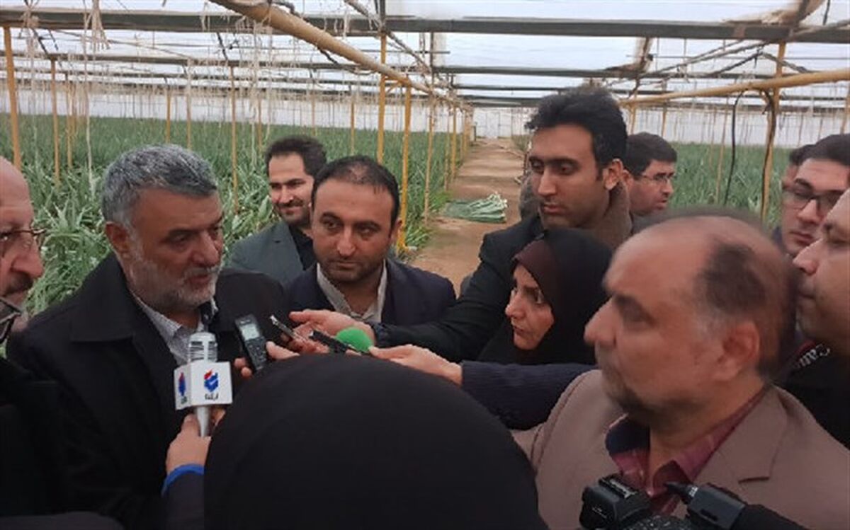 وسعت گلخانه های کشور به ۱۵ هزار هکتار رسیده است