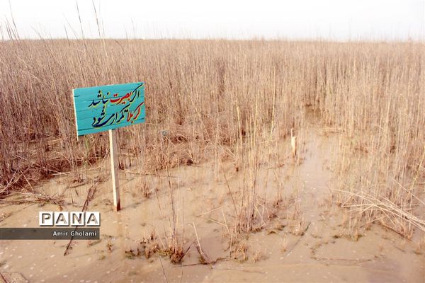اردوی دانش‌آموزی راهیان نور و آشنایی با فرهنگ مقاومت