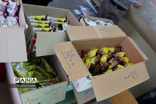 بازدید و ارزیابی مسئولان سازمان دانش‌آموزی مرکز از فعالیت‌های شهرستان سمنان