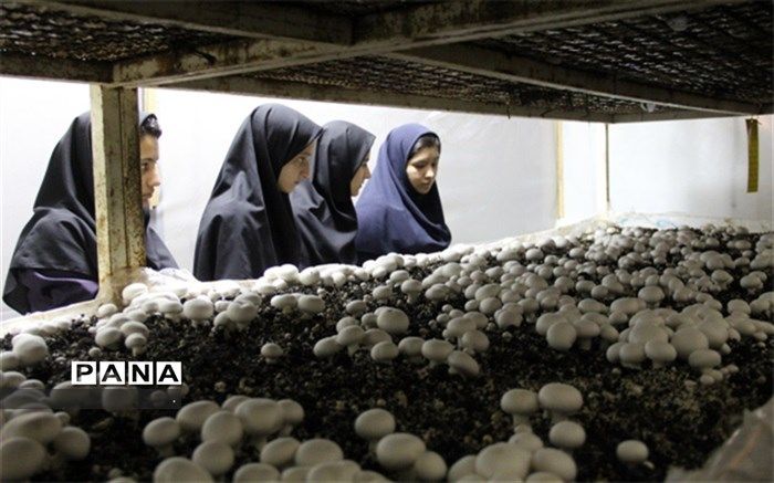 بازدید علمی دانش آموزان دبیرستان فرزانگان دوره دوم