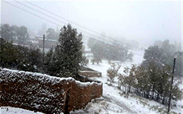 مدیر کل آموزش و پرورش خراسان جنوبی : بارش برف و یخبندان مدارس ابتدایی 53 روستا را تعطیل کرد