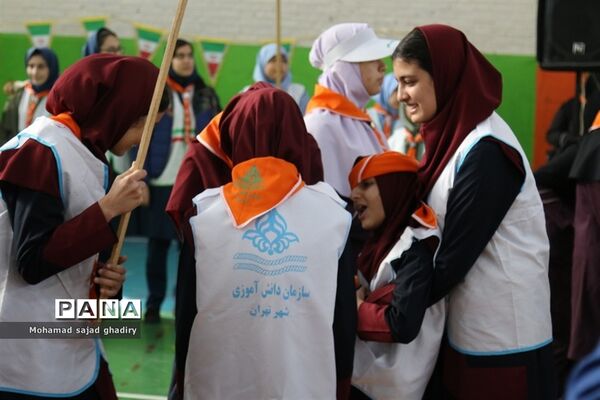 برگزاری مانور تشکیلاتی یاوران انقلاب پایتخت
