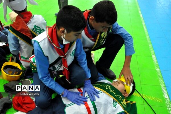همایش یاوران انقلاب درخراسان جنوبی