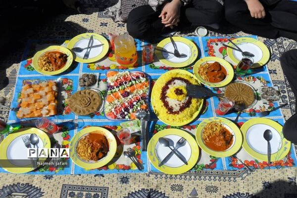 برگزاری جشنواره غذای سالم در زرین دشت