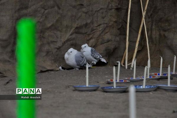 نمایشگاه شهدای جومیان درشهرستان خوسف