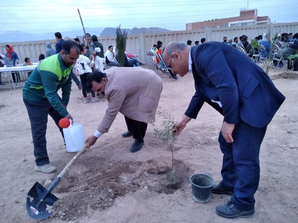 پویش مردمی درخت یادگار در یزد 