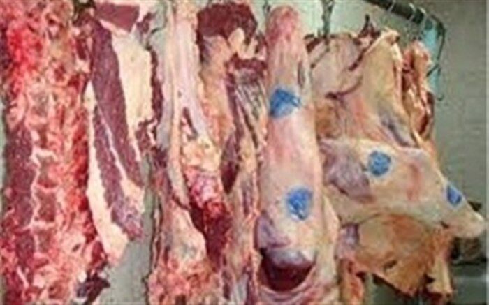 ورود دادستان به پرونده قاچاق دام زنده؛ قیمت‌ها به زودی شکسته می‌شود