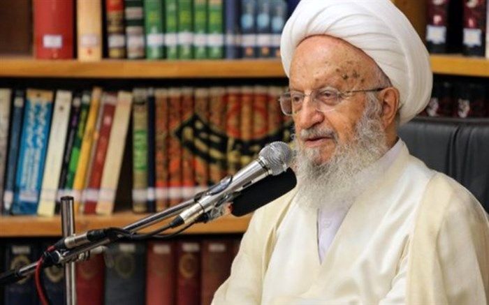 آیت الله مکارم شیرازی: سلفی گری را نباید تفسیری از اسلام دانست