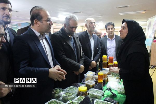 بازدید مدیرکل آموزش و پرورش استان همدان از غرفه‌های جشنواره بومی محلی سازمان دانش‌آموزی