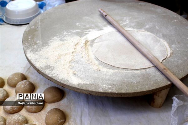 بازدید رئیس سازمان دانش آموزی فارس از منطقه درودزن