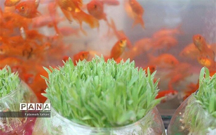 نگاهی به سریال های ایام نوروزی