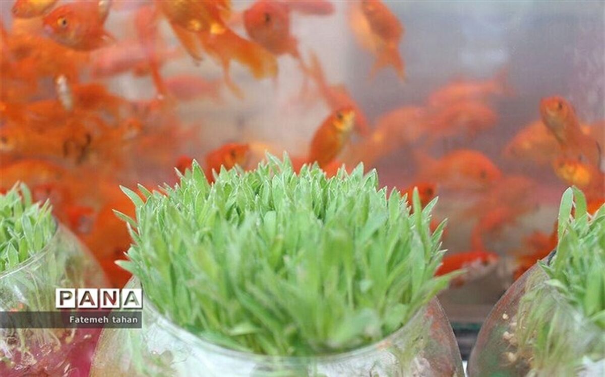 نگاهی به سریال های ایام نوروزی