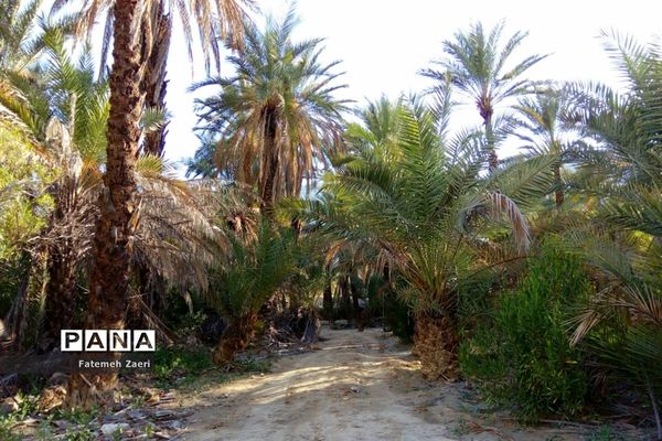 آسیاب‌های تنگ ترمان لامِرد فارس