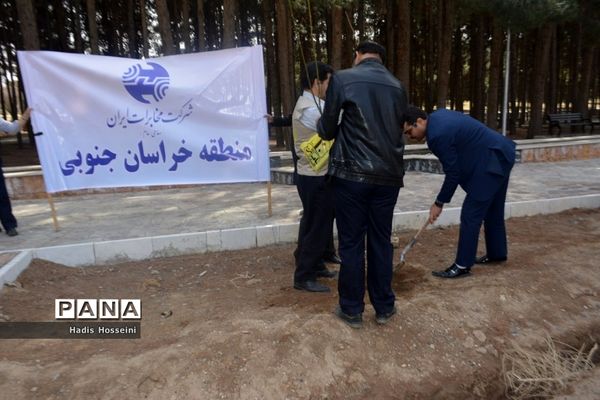 کاشت ۴۰ اصله نهال با یادمان ارتباطی فراگیر