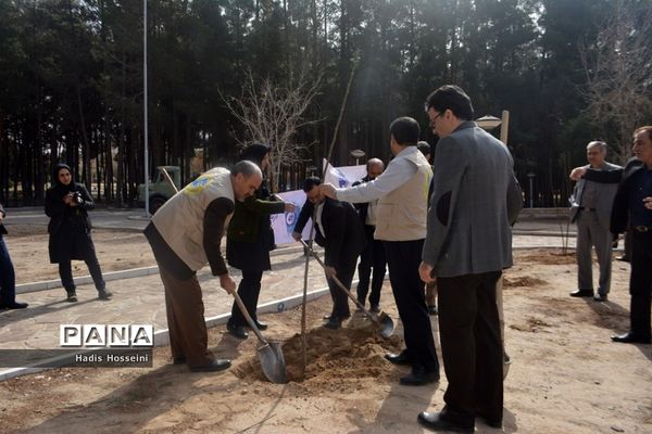 کاشت ۴۰ اصله نهال با یادمان ارتباطی فراگیر