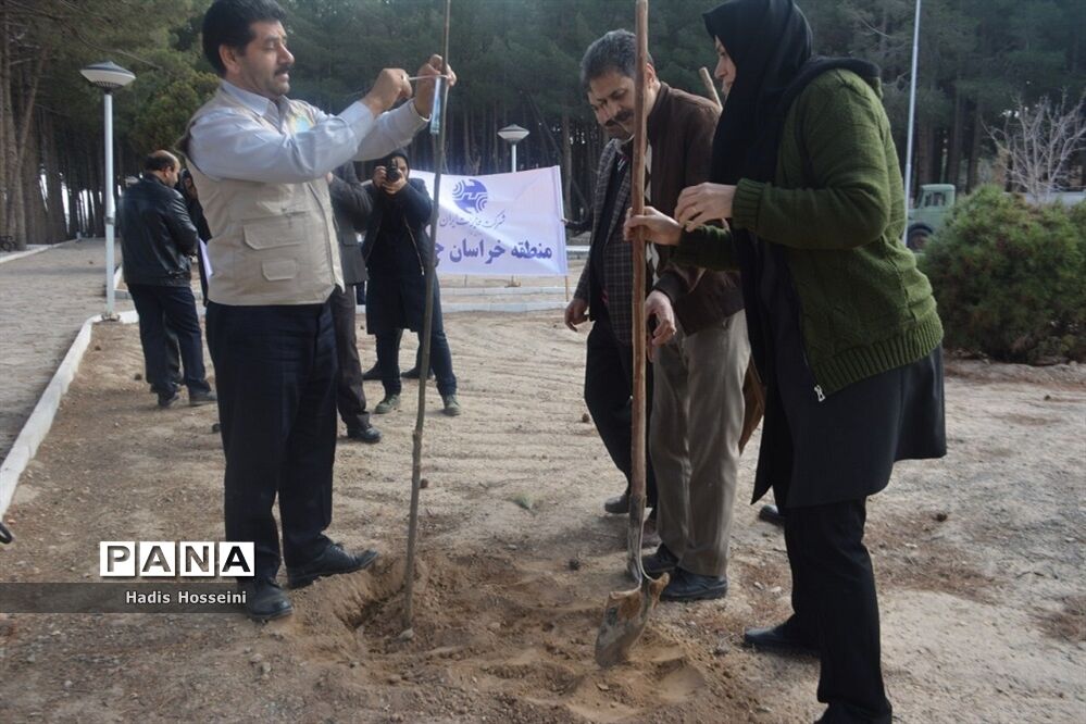 کاشت ۴۰ اصله نهال با یادمان ارتباطی فراگیر