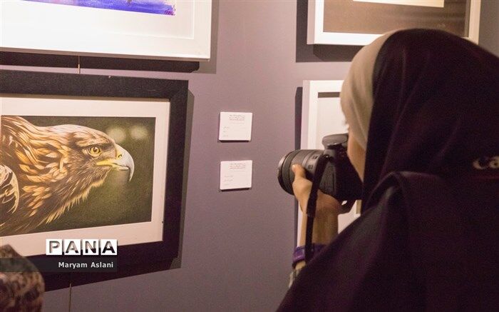 هم‌اندیشی هنر و رسانه‌های دیجیتال برگزار می‌شود