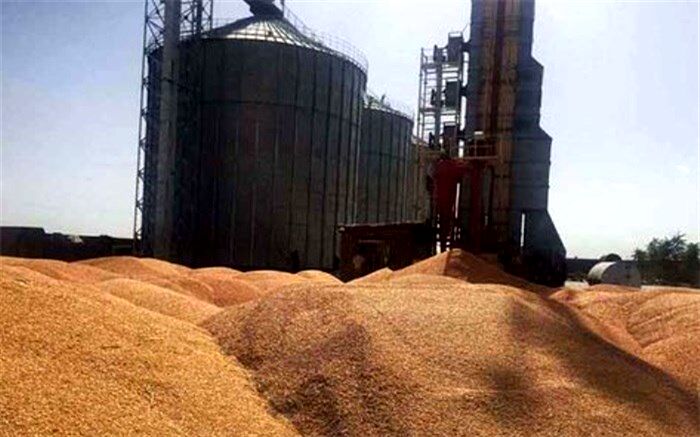 حفظ منابع آبی خاکی و رونق فرآوری و صادرات