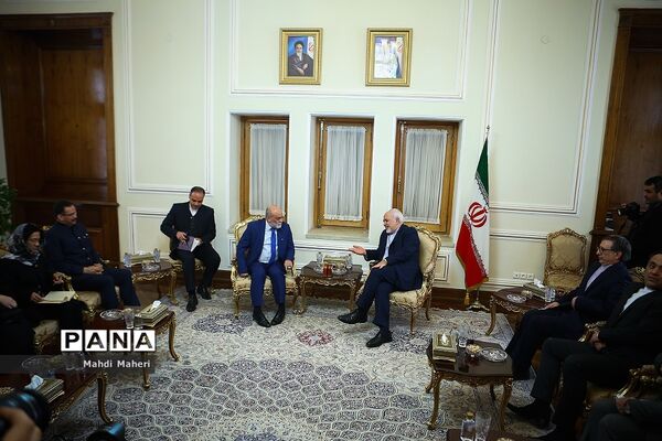 دیدار معاون وزیر امور خارجه ونزوئلا با ظریف