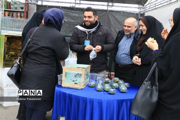 جشنواره عرضه و طبخ آبزیان در ساری