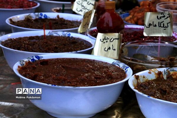 جشنواره عرضه و طبخ آبزیان در ساری