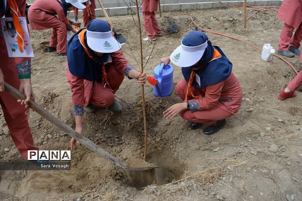 رئیس محیط زیست تهران: سرانه فضای سبز باید به حداقل 15 متر مربع برسد
