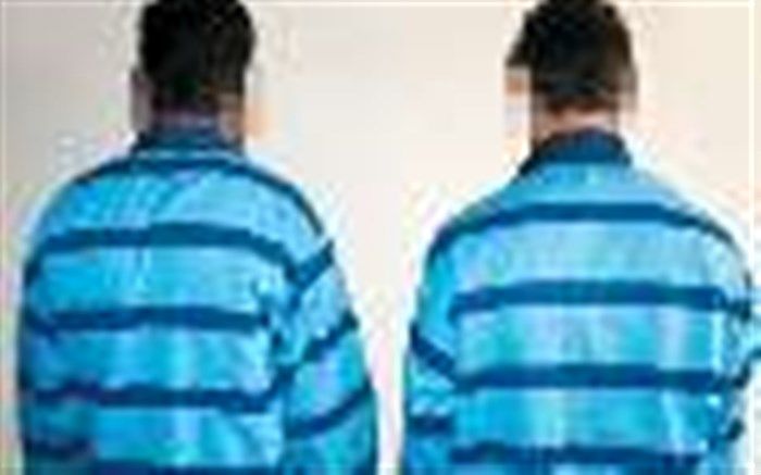 سارق حرفه ای در سلماس دستگیر شد